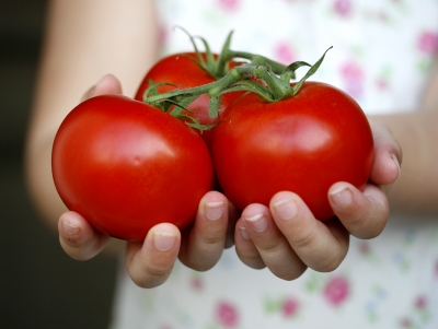 Girl_Holding_Tomatoes